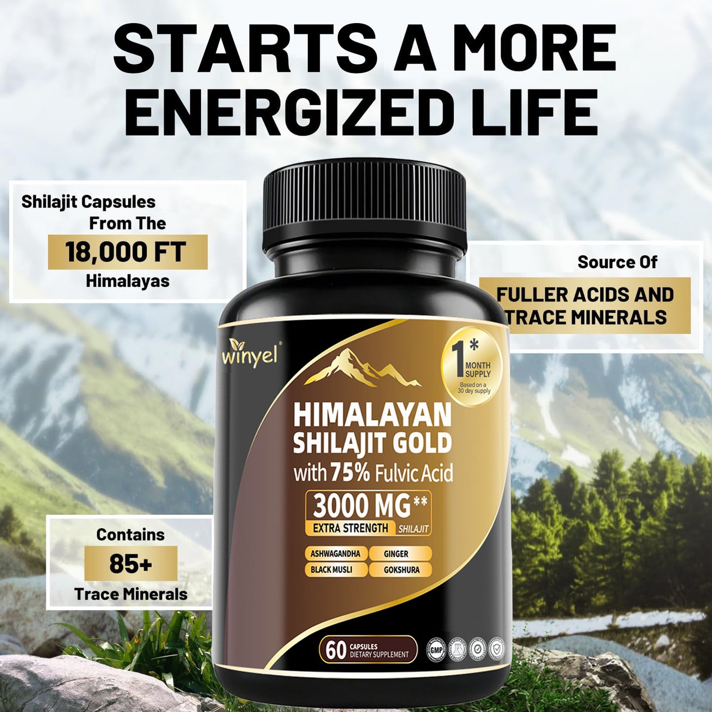 Shilajit Capsules 85 Trace Minerals