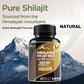 Shilajit Capsules 85 Trace Minerals