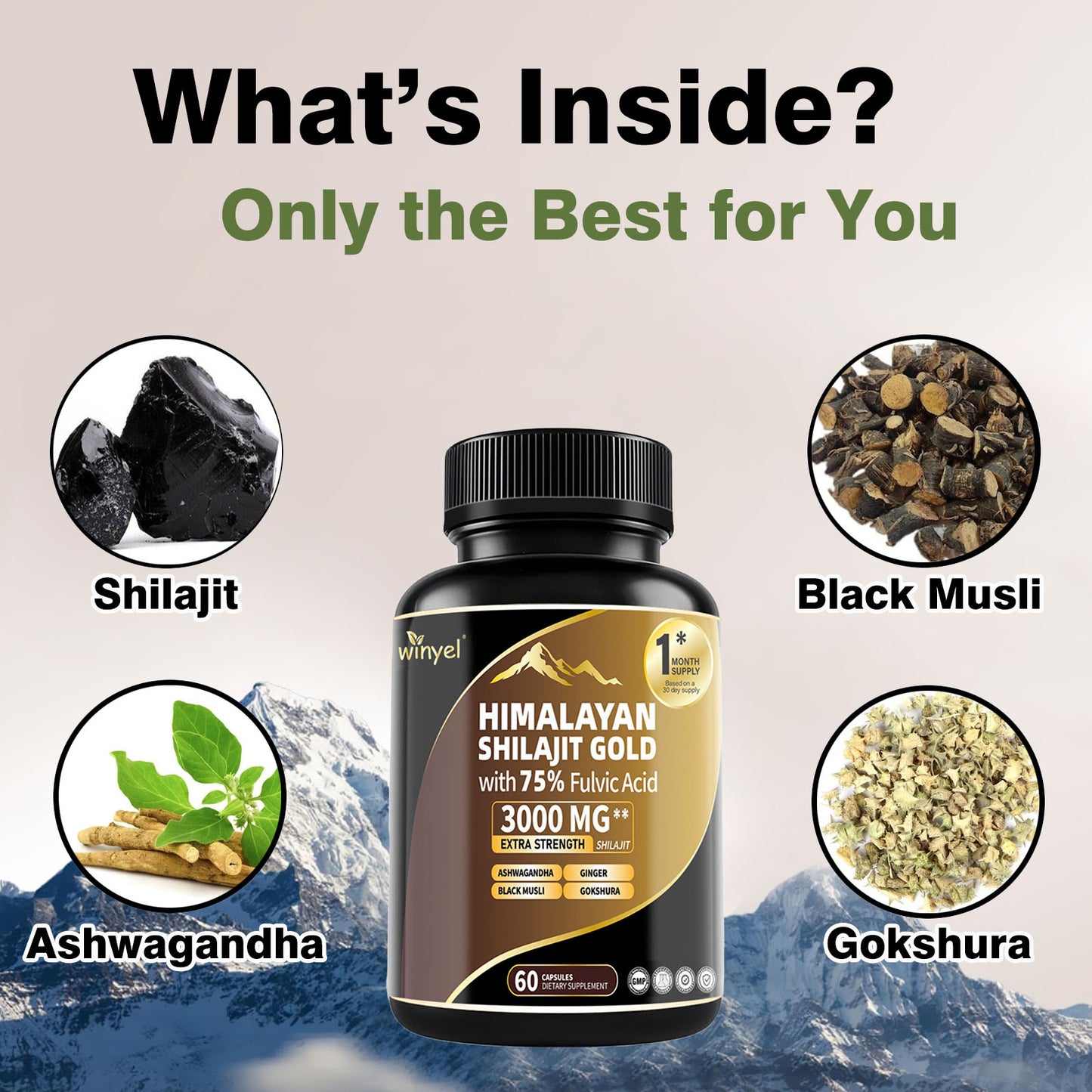 Shilajit Capsules 85 Trace Minerals